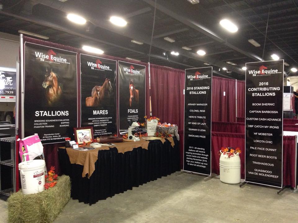 Wise Equine booth at an equine trade show
