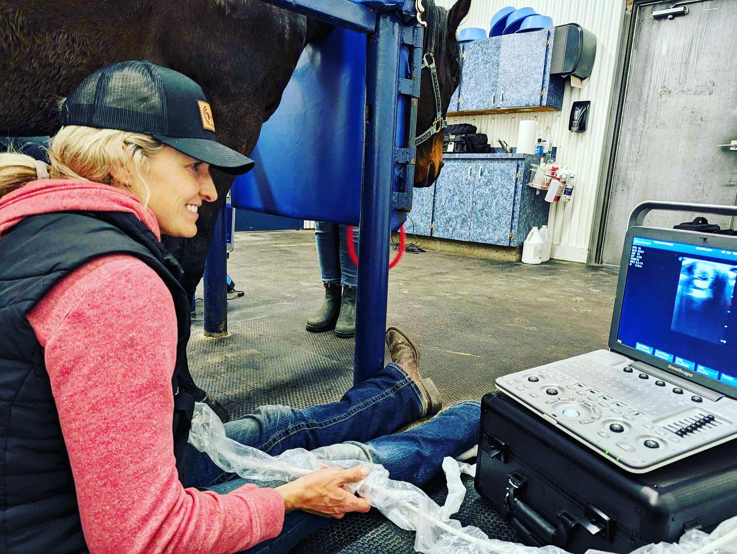 Veterinarian reviewing an ultrasound scan beside a horse