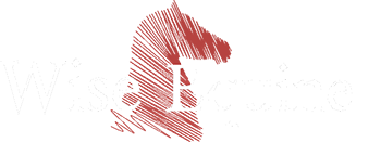 Wise Equine Veterinary Services